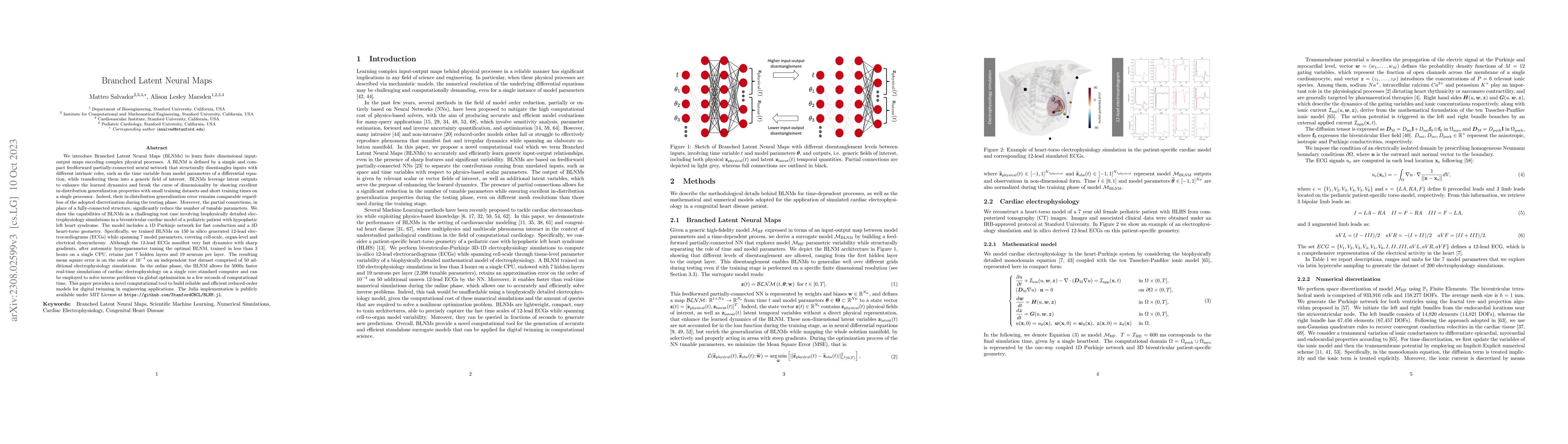 Thumbnail for Branched Latent Neural Maps