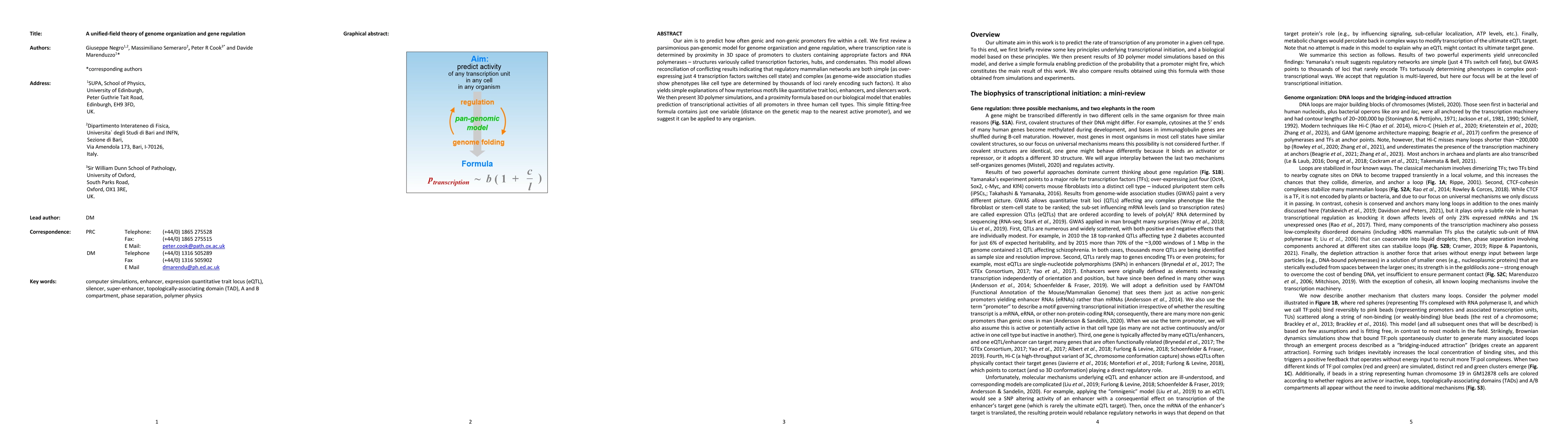 Thumbnail for A unified-field theory of genome organization and gene regulation