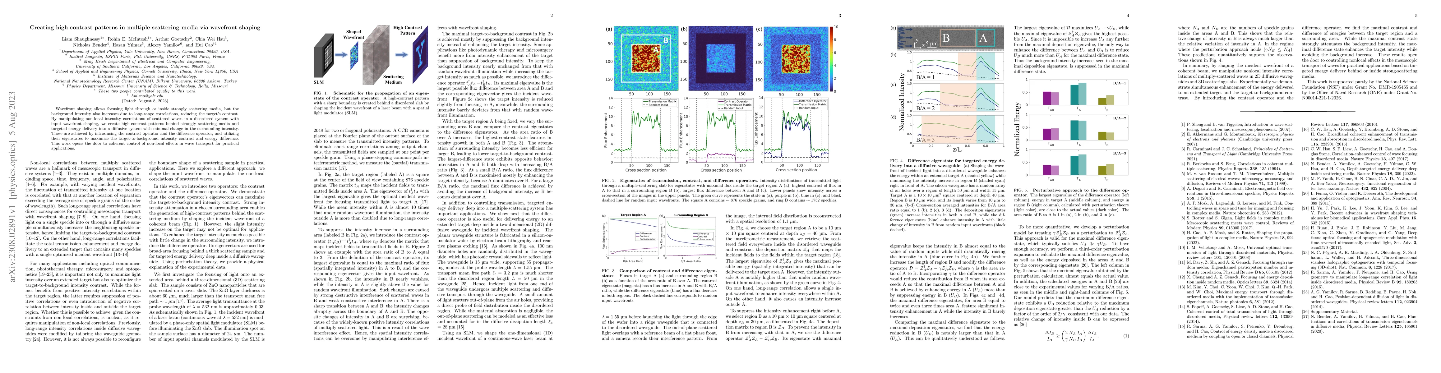 Thumbnail for Creating high-contrast patterns in multiple-scattering media via
  wavefront shaping