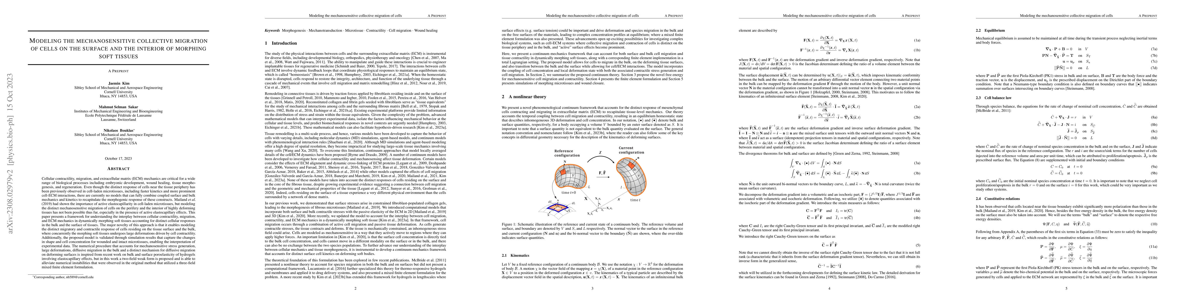 Thumbnail for Modeling the mechanosensitive collective migration of cells on the
  surface and the interior of morphing soft tissues