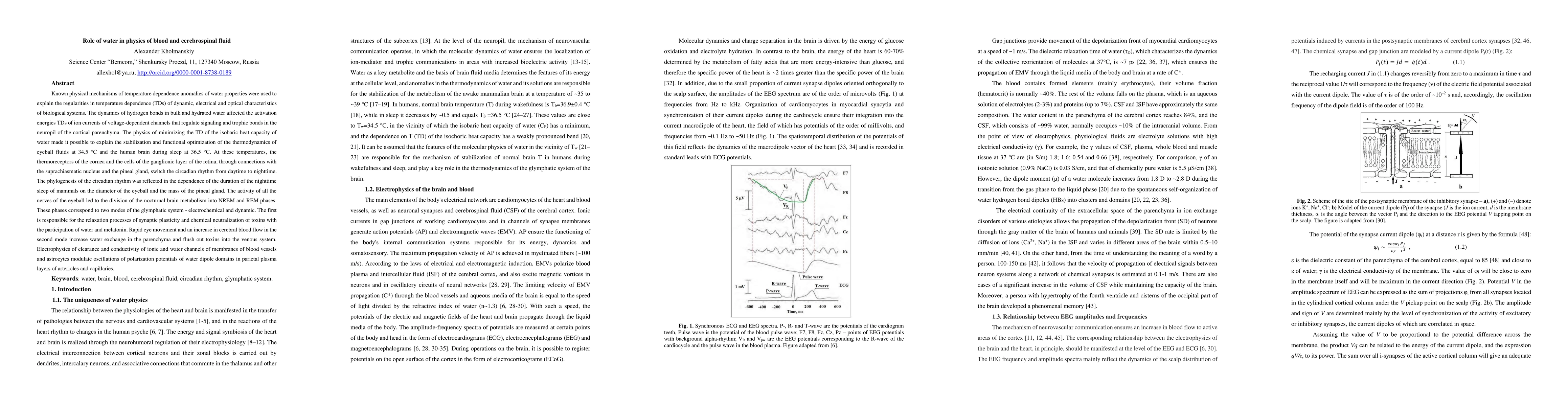 Thumbnail for Role of water in physics of blood and cerebrospinal fluid
