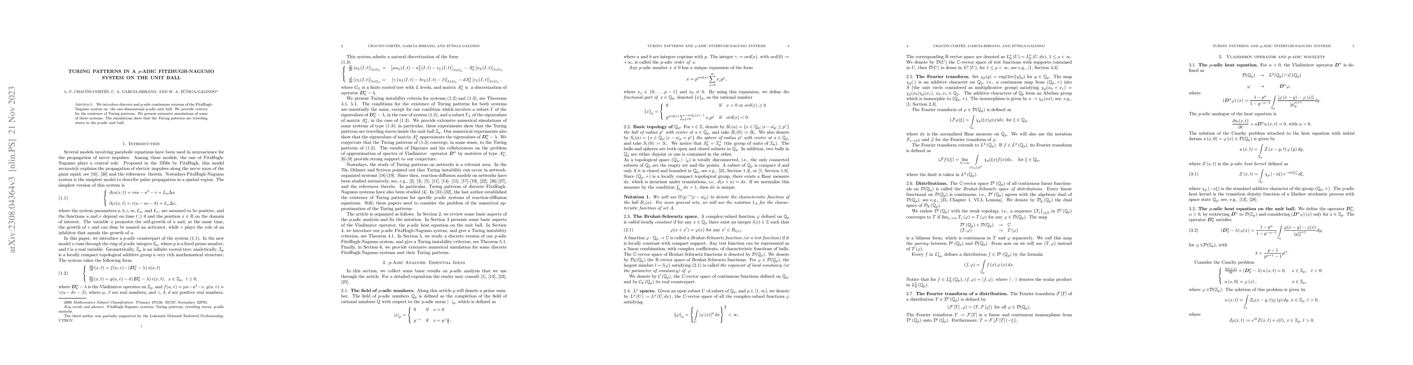 Thumbnail for Turing patterns in a p-adic FitzHugh-Nagumo system on the unit ball