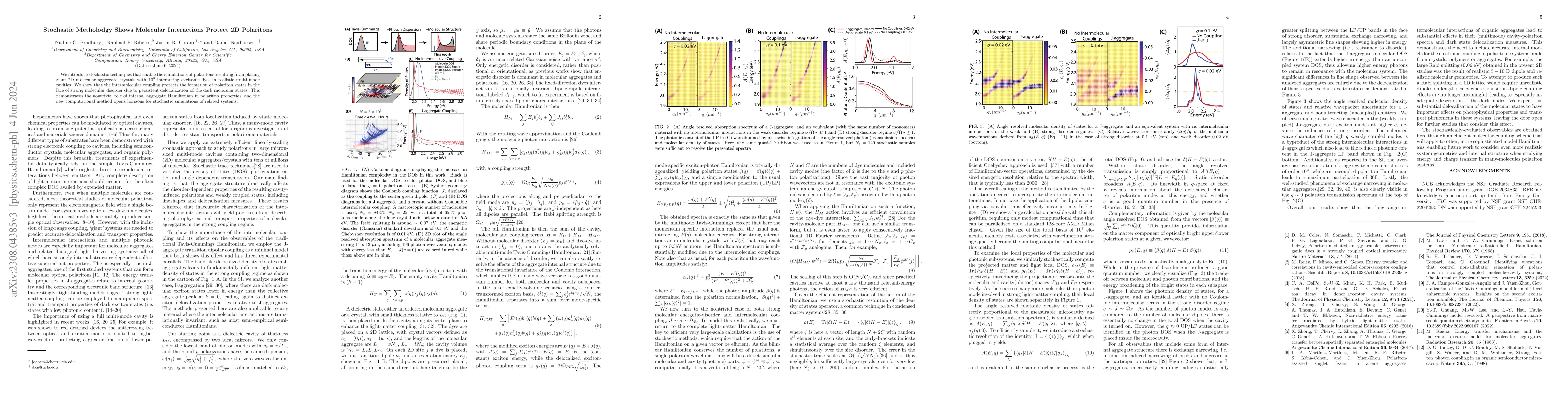 Thumbnail for Stochastic Metholodgy Shows Molecular Interactions Protect 2D Polaritons
