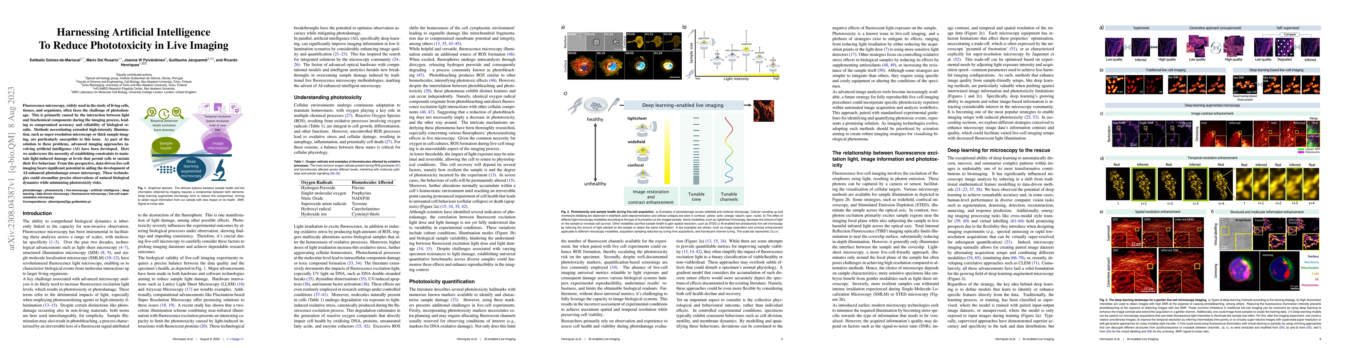 Thumbnail for Harnessing Artificial Intelligence To Reduce Phototoxicity in Live
  Imaging