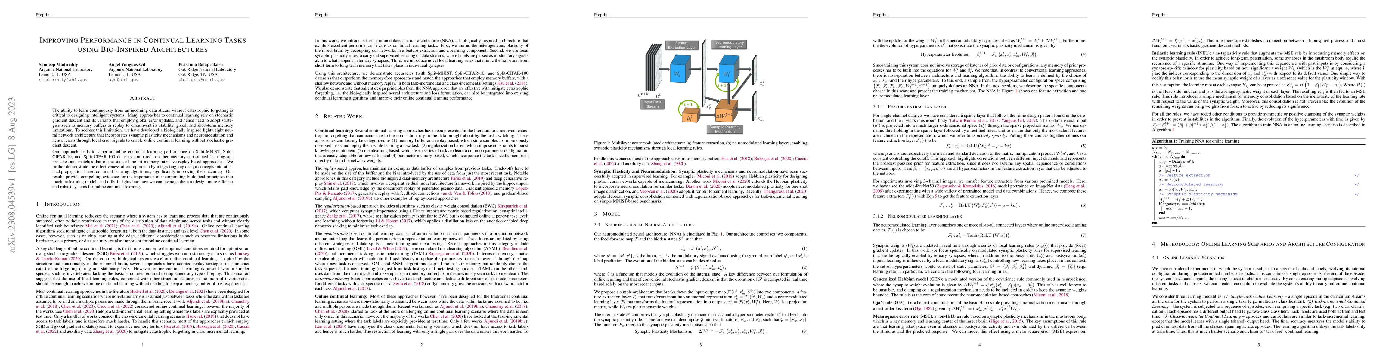 Thumbnail for Improving Performance in Continual Learning Tasks using Bio-Inspired
  Architectures