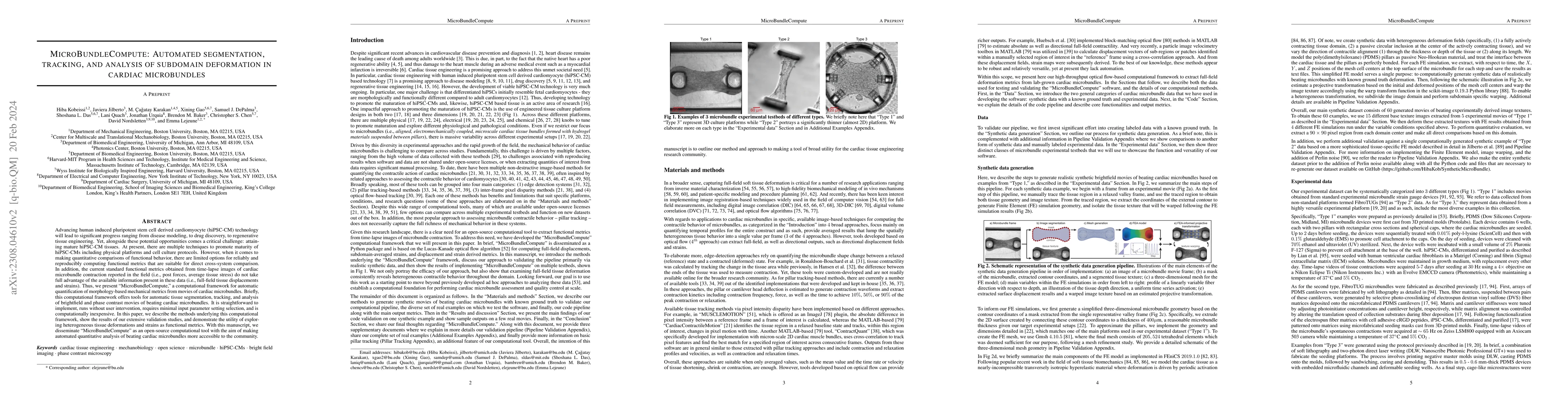 Thumbnail for MicroBundleCompute: Automated segmentation, tracking, and analysis of
  subdomain deformation in cardiac microbundles