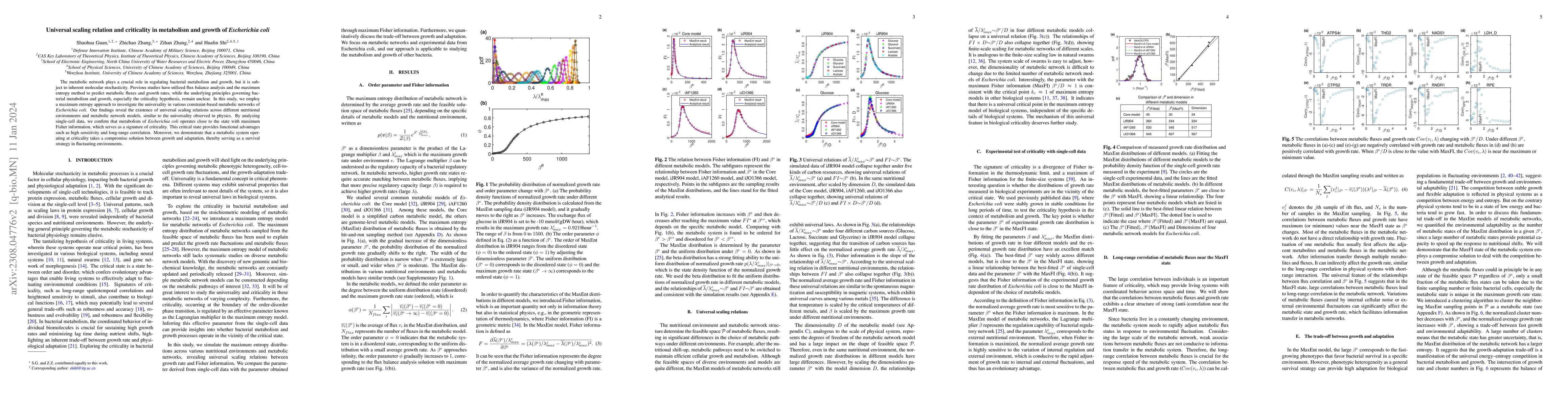 Thumbnail for Universal scaling relation and criticality in metabolism and growth of
  Escherichia coli