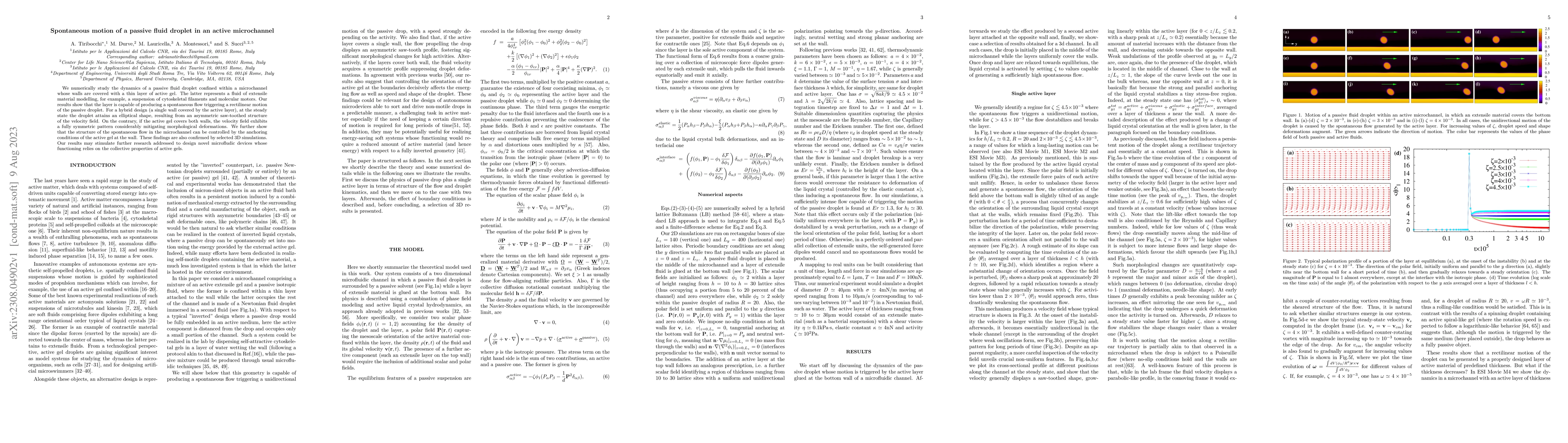 Thumbnail for Spontaneous motion of a passive fluid droplet in an active microchannel