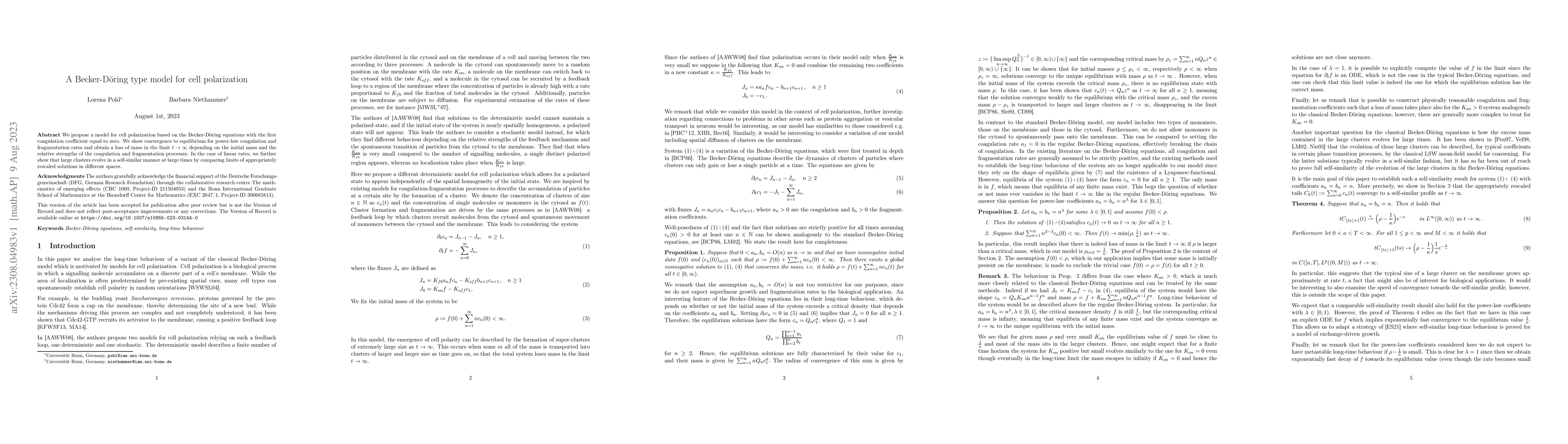Thumbnail for A Becker-D\"oring type model for cell polarization