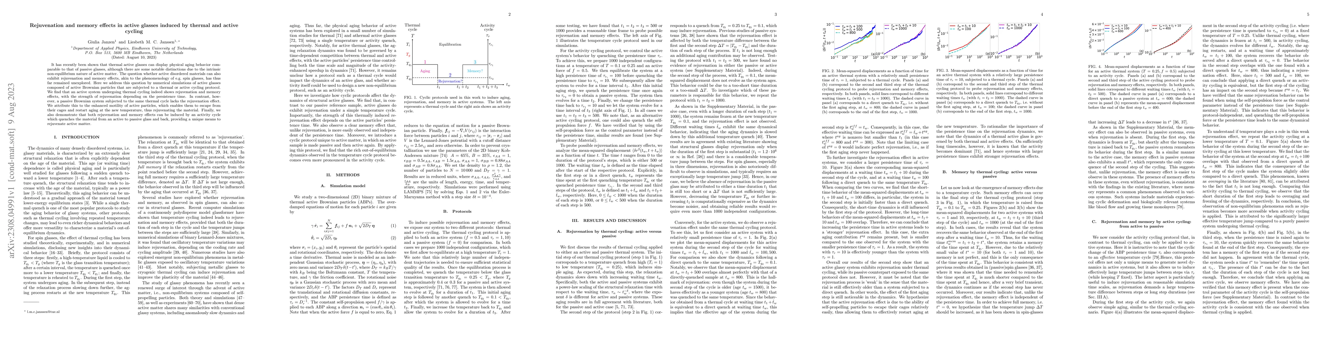 Thumbnail for Rejuvenation and memory effects in active glasses induced by thermal and
  active cycling