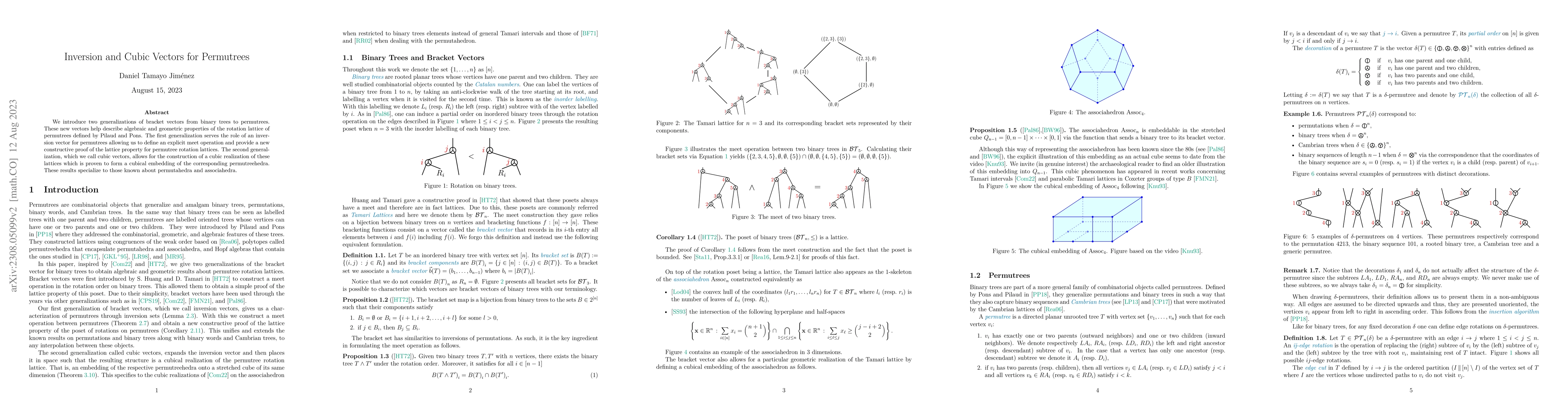 Thumbnail for Inversion and Cubic Vectors for Permutrees