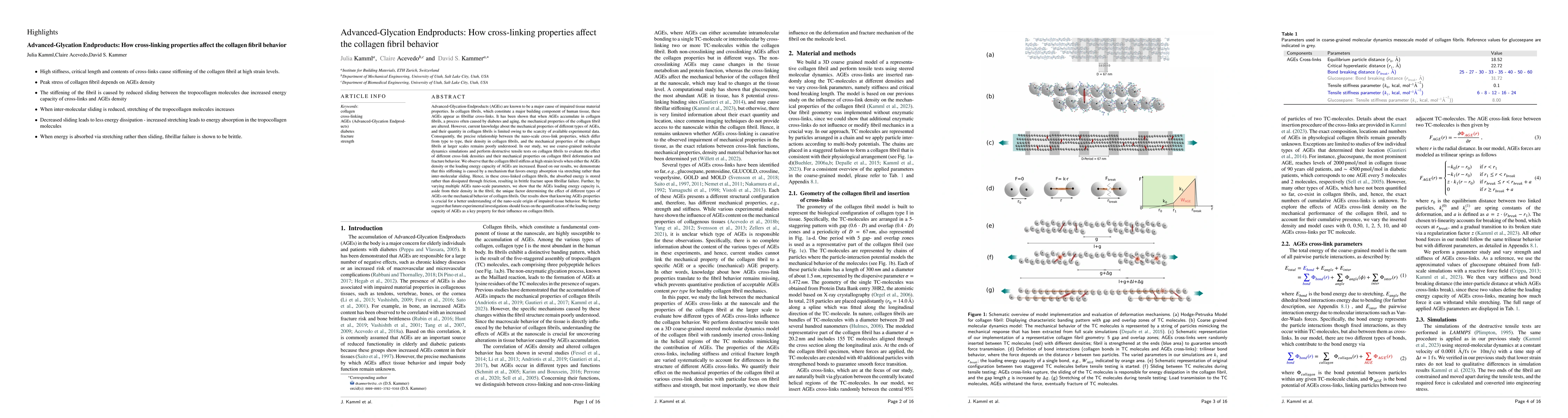 Thumbnail for Advanced-Glycation Endproducts: How cross-linking properties affect the
  collagen fibril behavior