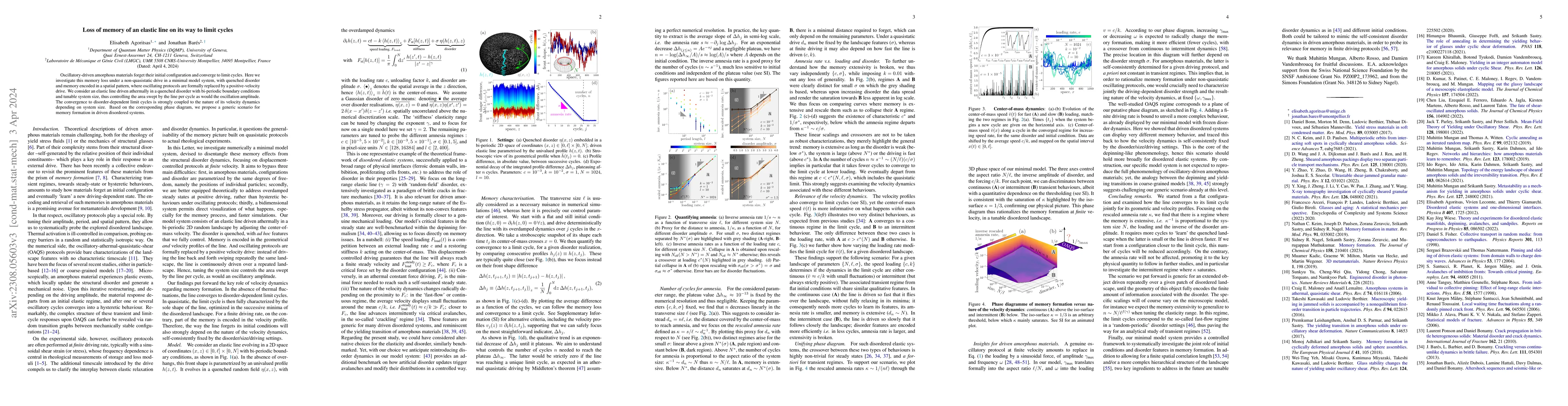 Thumbnail for Loss of memory of an elastic line on its way to limit cycles