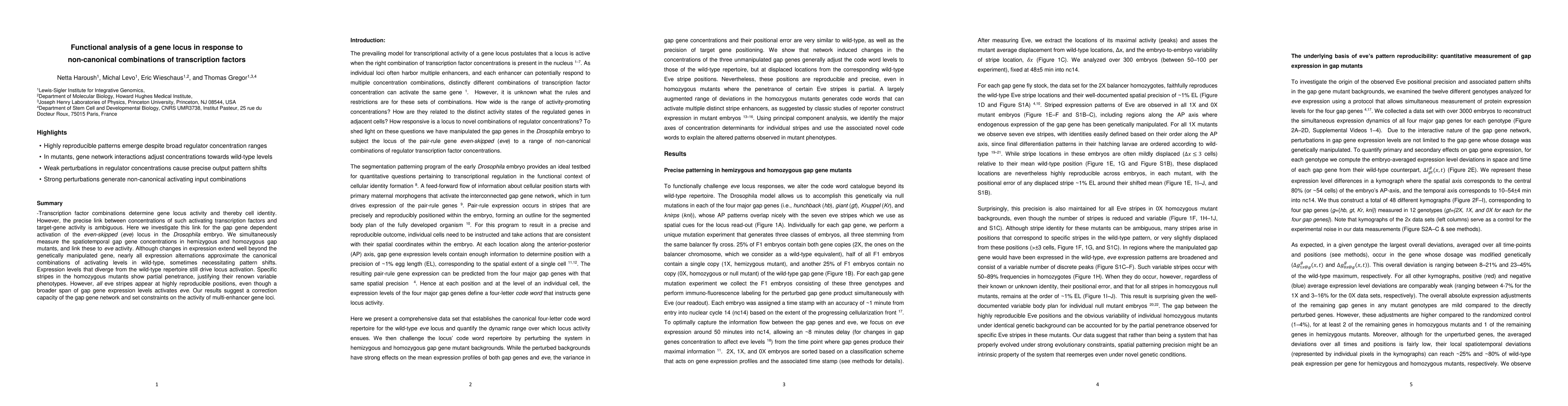 Thumbnail for Functional analysis of a gene locus in response to non-canonical
  combinations of transcription factors