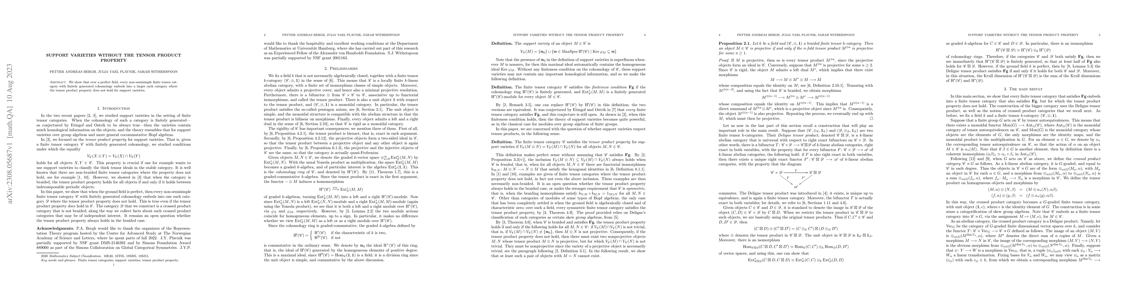Thumbnail for Support varieties without the tensor product property