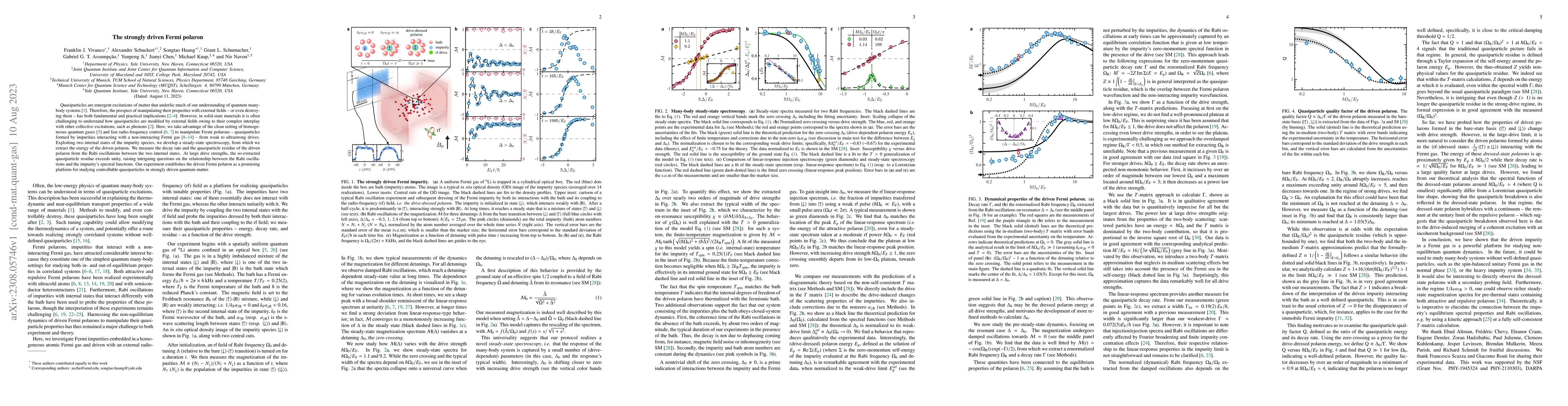 Thumbnail for The strongly driven Fermi polaron