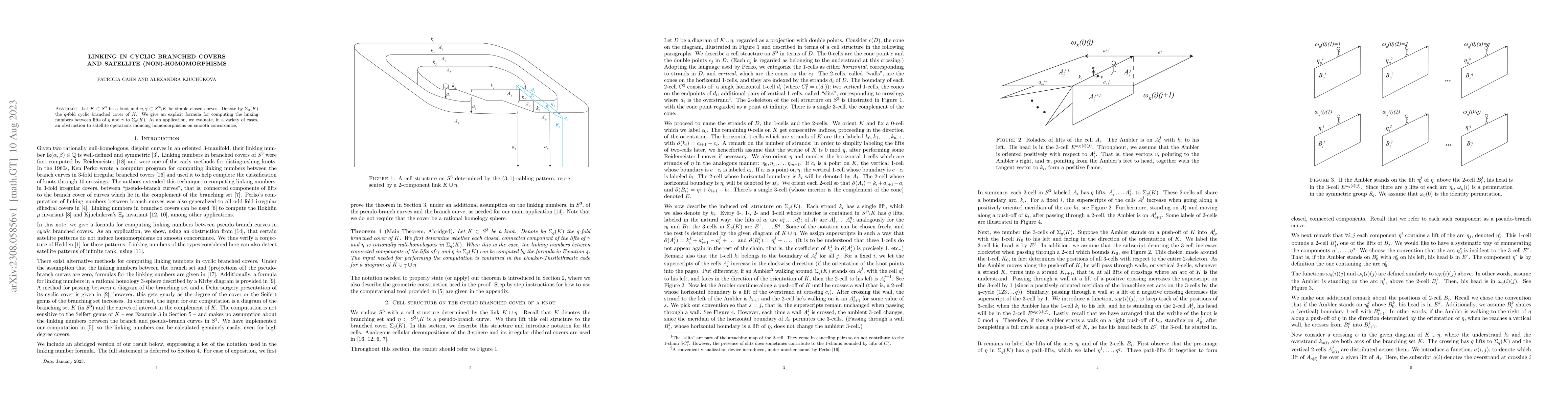 Thumbnail for Linking in Cyclic Branched Covers and Satellite (non)-Homomorphisms
