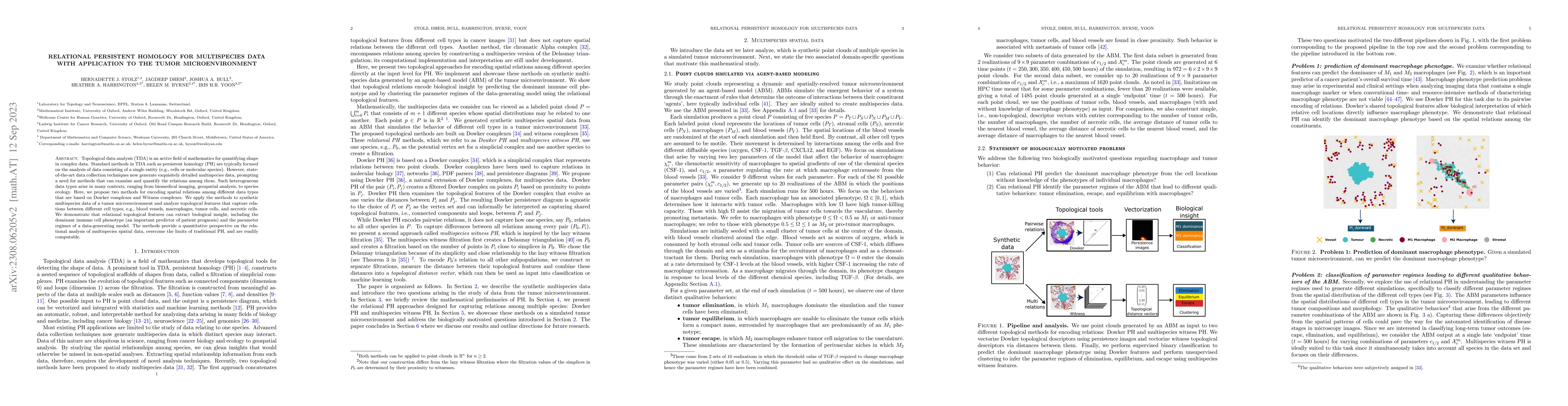 Thumbnail for Relational persistent homology for multispecies data with application to
  the tumor microenvironment