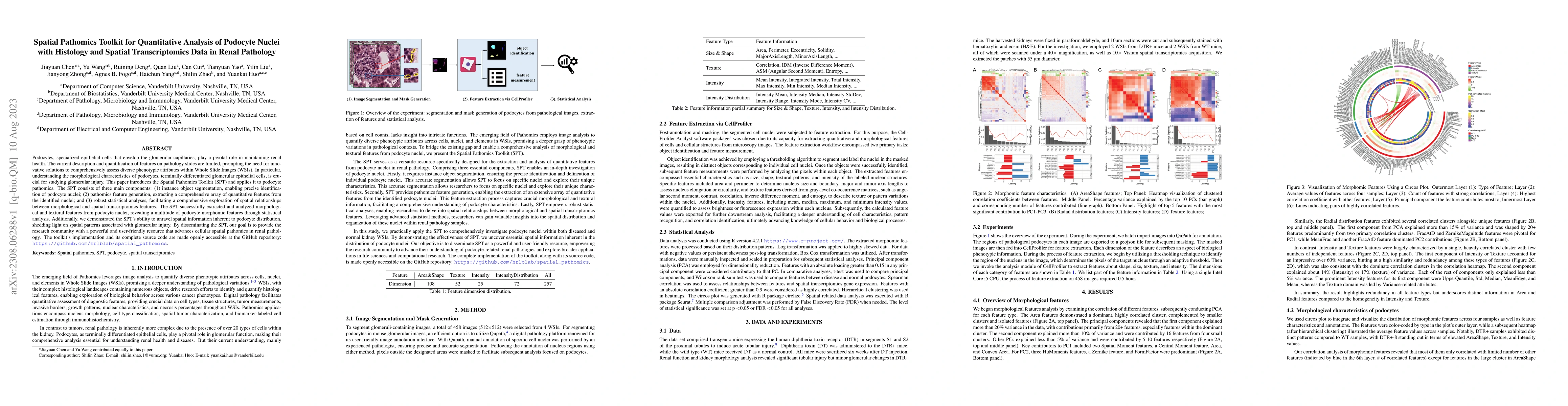 Thumbnail for Spatial Pathomics Toolkit for Quantitative Analysis of Podocyte Nuclei
  with Histology and Spatial Transcriptomics Data in Renal Pathology