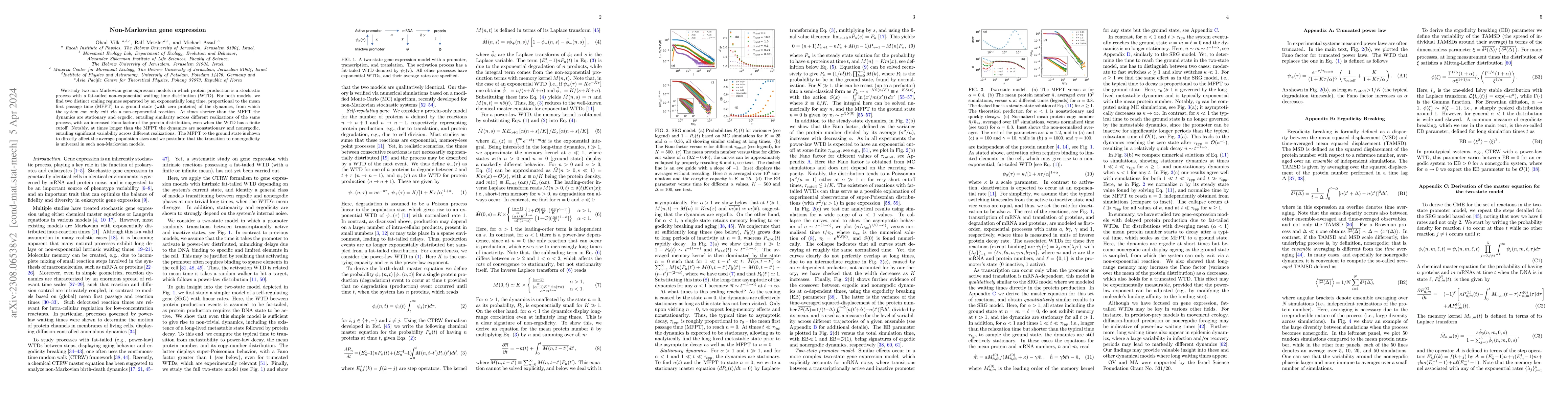 Thumbnail for Non-Markovian gene expression