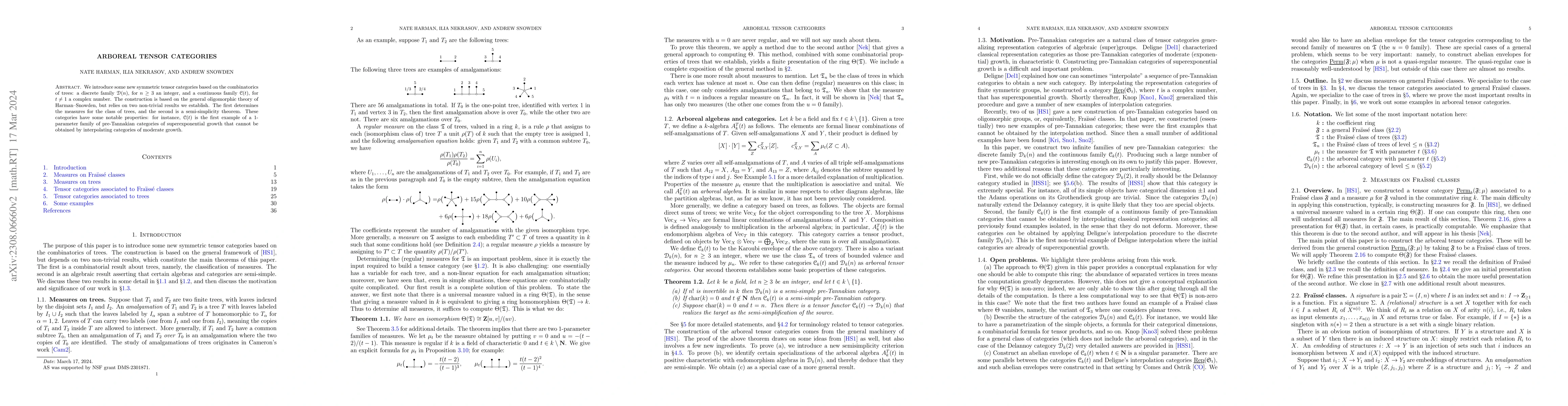 Thumbnail for Arboreal tensor categories