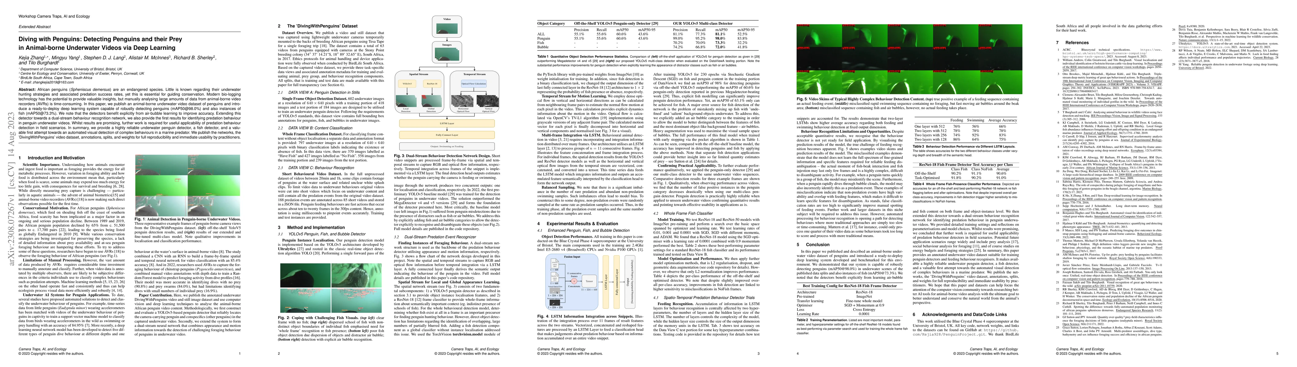 Thumbnail for Diving with Penguins: Detecting Penguins and their Prey in Animal-borne
  Underwater Videos via Deep Learning