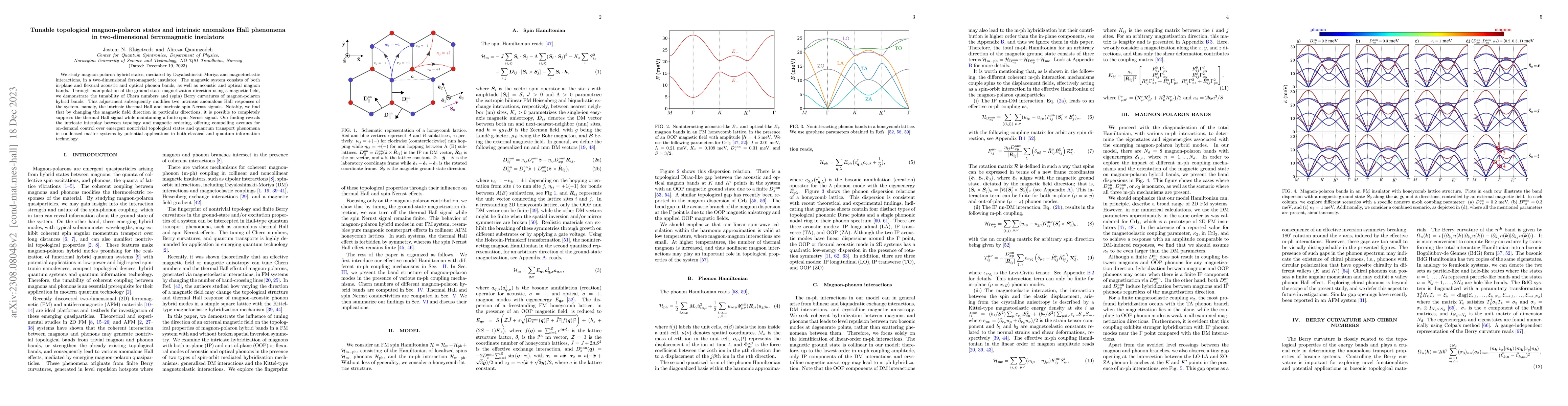 Thumbnail for Tunable topological magnon-polaron states and anomalous Hall phenomena
  in two-dimensional ferromagnetic insulators