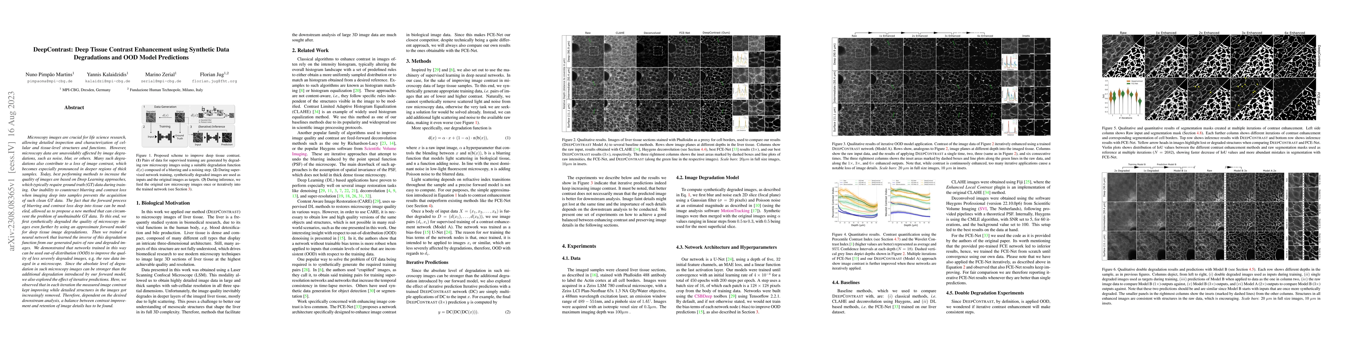Thumbnail for DeepContrast: Deep Tissue Contrast Enhancement using Synthetic Data
  Degradations and OOD Model Predictions