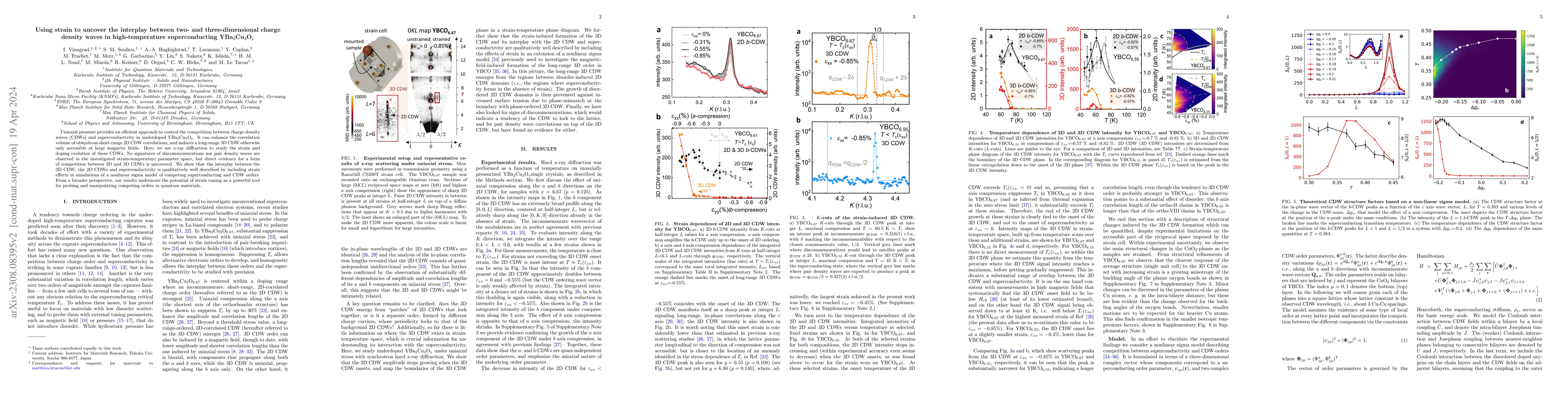 Thumbnail for Using strain to uncover the interplay between two- and three-dimensional
  charge density waves in high-temperature superconducting
  YBa$_{2}$Cu$_{3}$O$_{\rm{y}}$