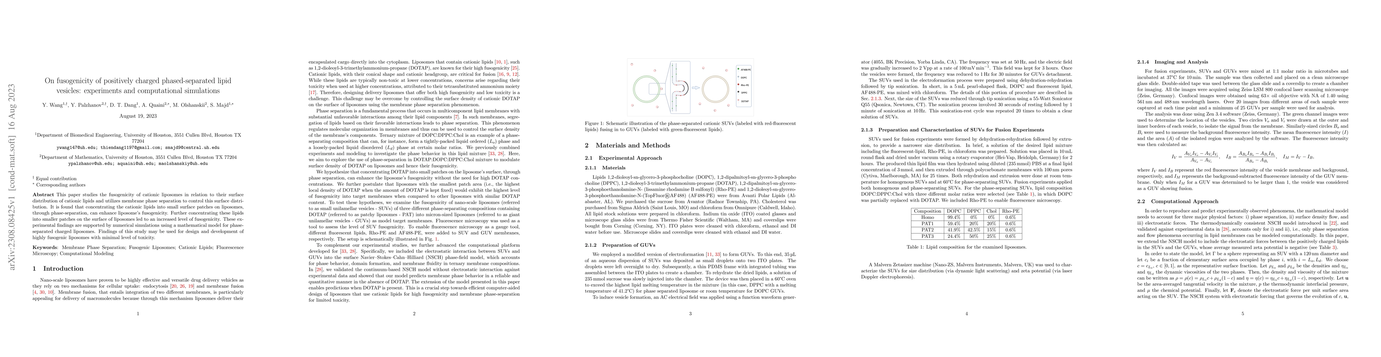 Thumbnail for On fusogenicity of positively charged phased-separated lipid vesicles:
  experiments and computational simulations