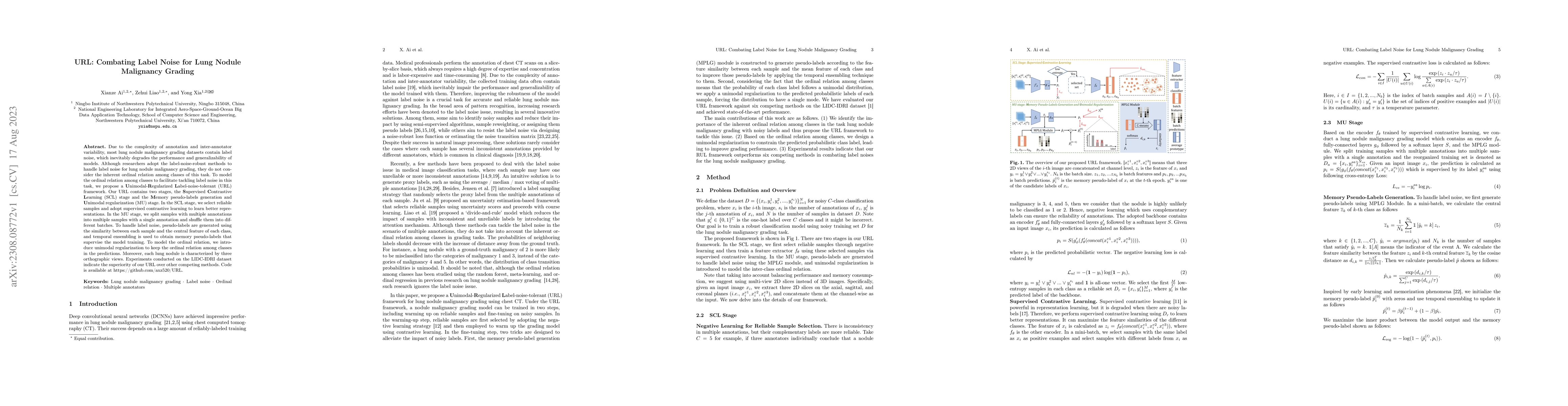 Thumbnail for URL: Combating Label Noise for Lung Nodule Malignancy Grading