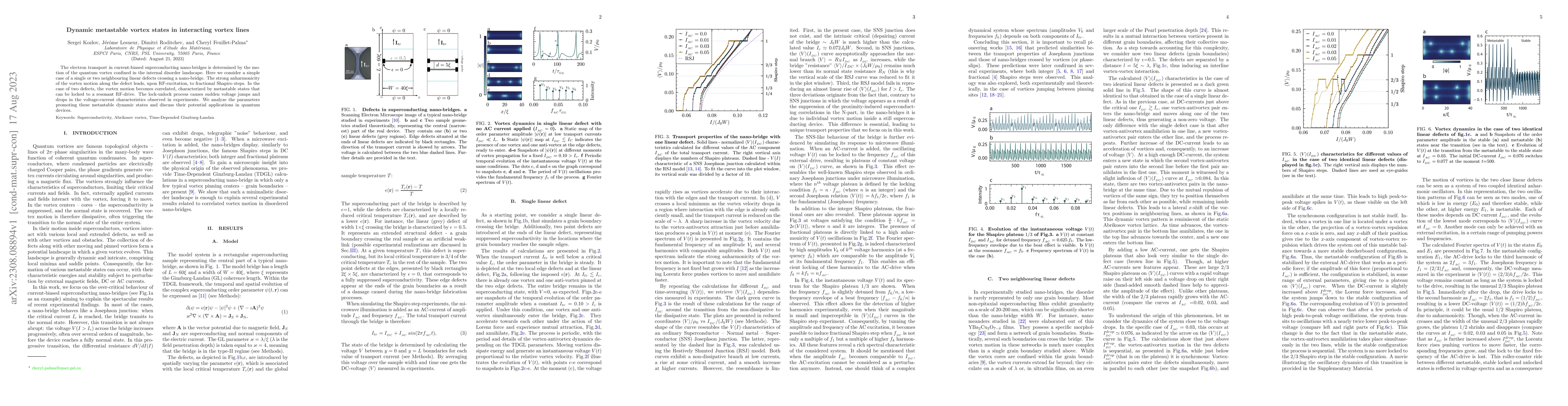Thumbnail for Dynamic metastable vortex states in interacting vortex lines