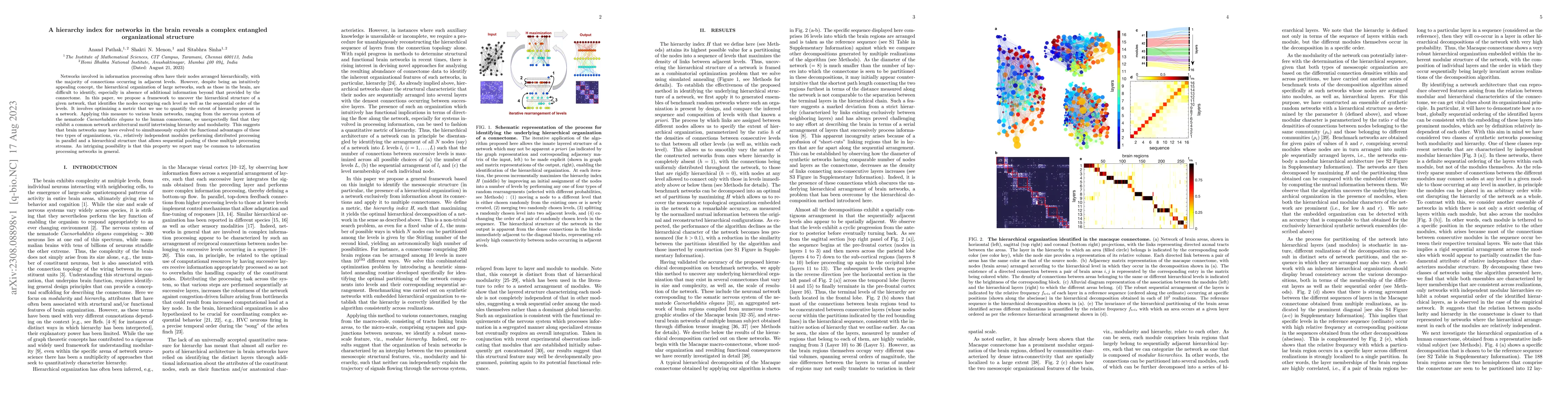 Thumbnail for A hierarchy index for networks in the brain reveals a complex entangled
  organizational structure