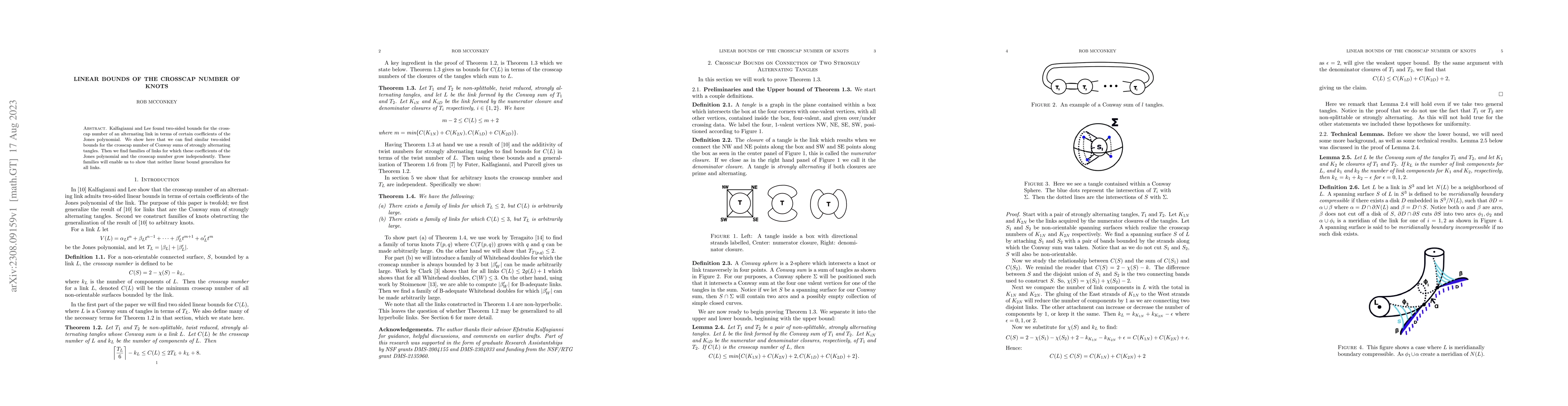 Thumbnail for Linear Bounds of the Crosscap Number of Knots