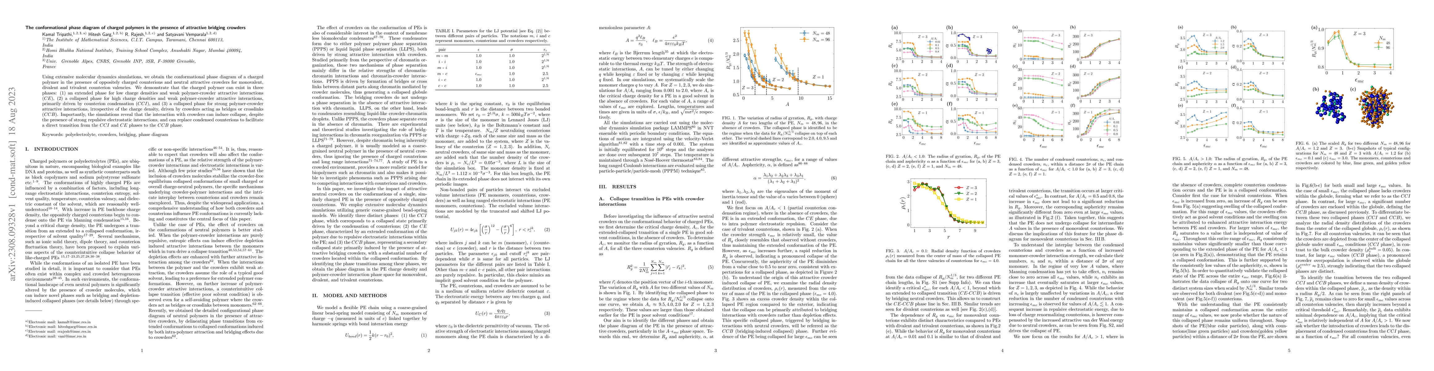 Thumbnail for The conformational phase diagram of charged polymers in the presence of
  attractive bridging crowders