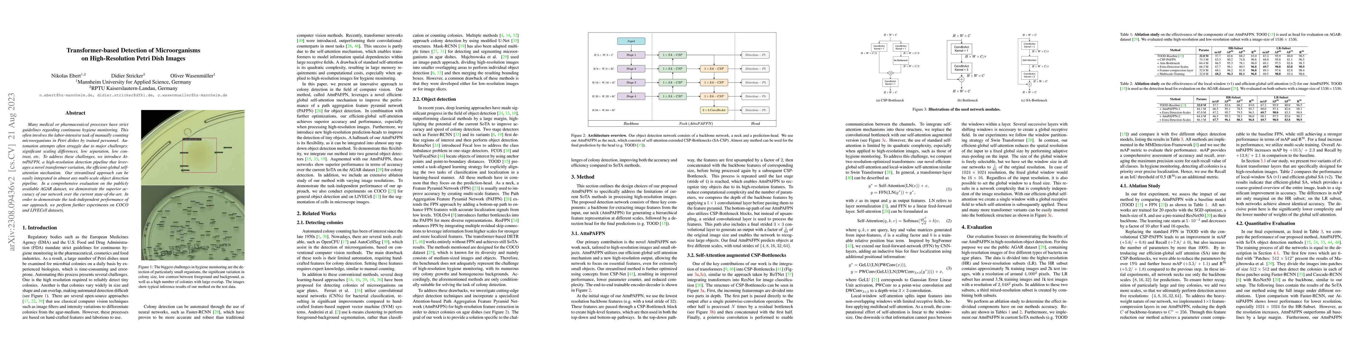 Thumbnail for Transformer-based Detection of Microorganisms on High-Resolution Petri
  Dish Images