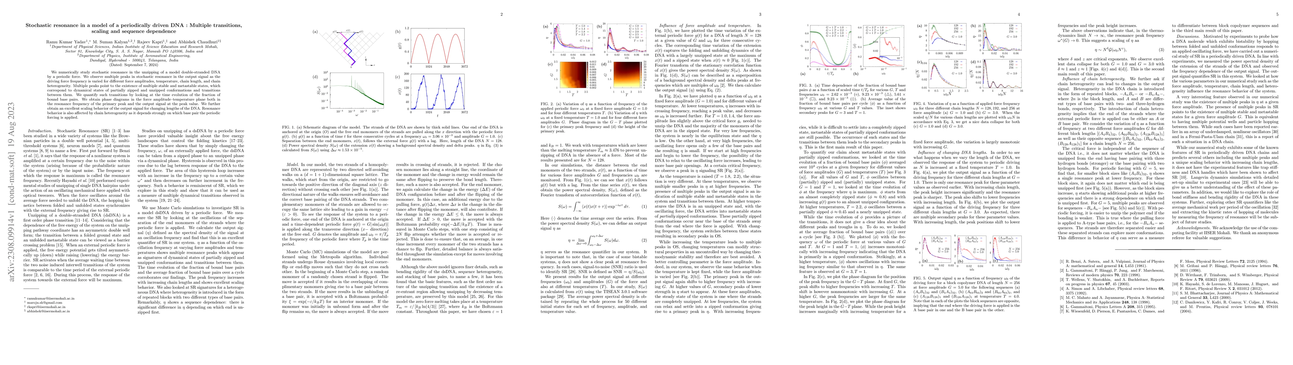 Thumbnail for Stochastic resonance in a model of a periodically driven DNA : Multiple
  transitions, scaling and sequence dependence