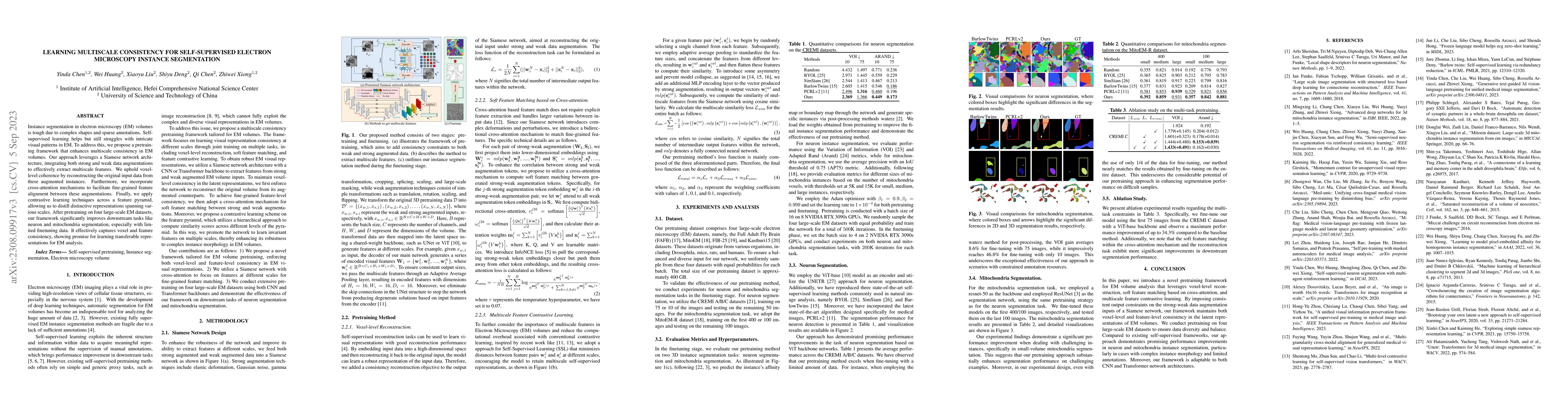 Thumbnail for Learning Multiscale Consistency for Self-supervised Electron Microscopy
  Instance Segmentation