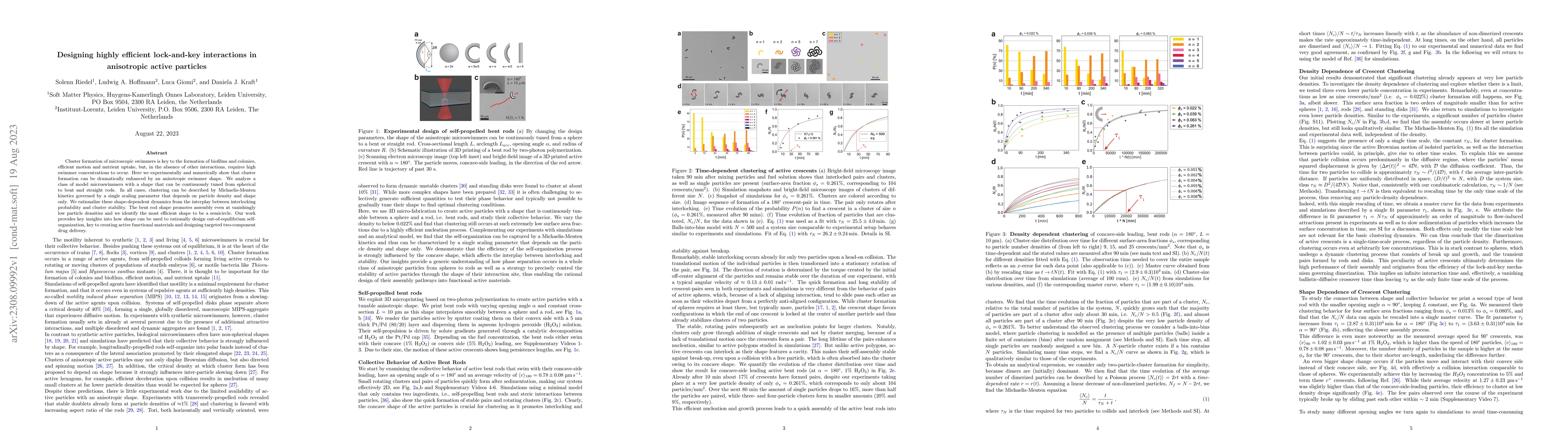 Thumbnail for Designing highly efficient lock-and-key interactions in anisotropic
  active particles