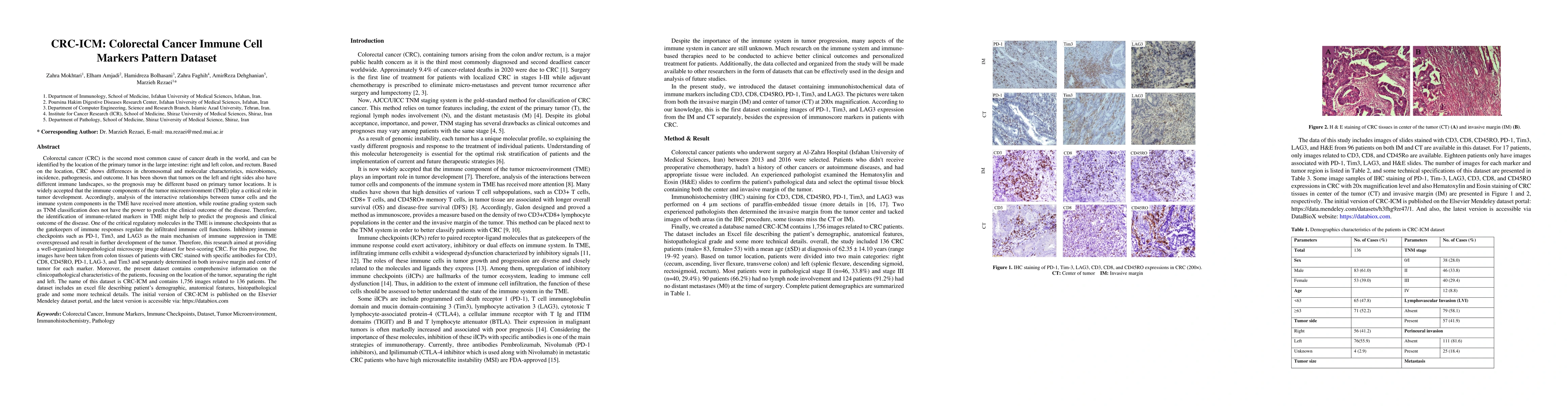 Thumbnail for CRC-ICM: Colorectal Cancer Immune Cell Markers Pattern Dataset