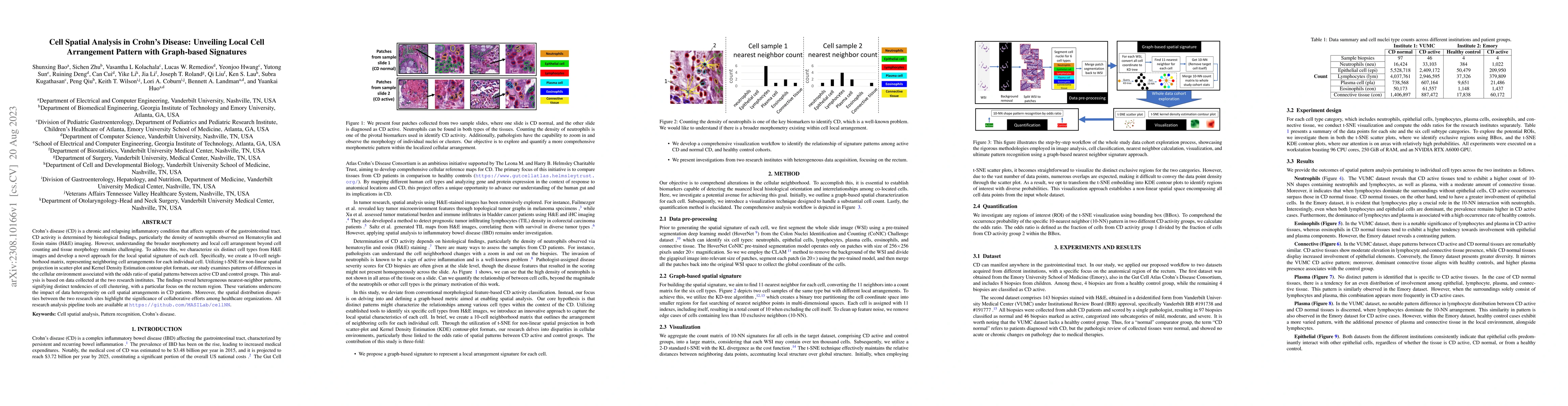 Thumbnail for Cell Spatial Analysis in Crohn's Disease: Unveiling Local Cell
  Arrangement Pattern with Graph-based Signatures