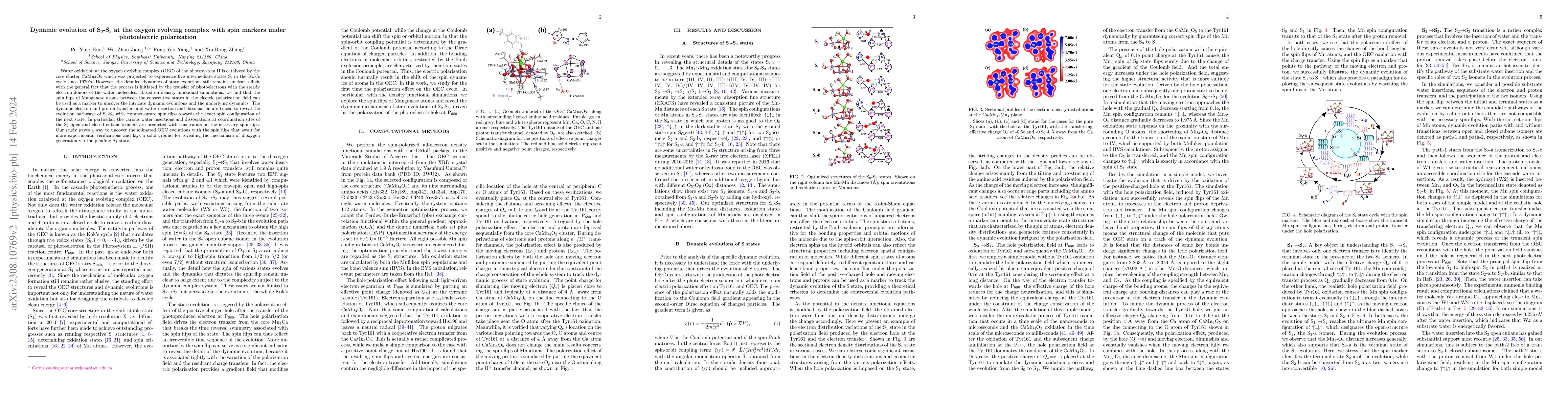 Thumbnail for Dynamic evolution of S$_0$-S$_3$ at the oxygen evolving complex with
  spin markers under photoelectric polarization