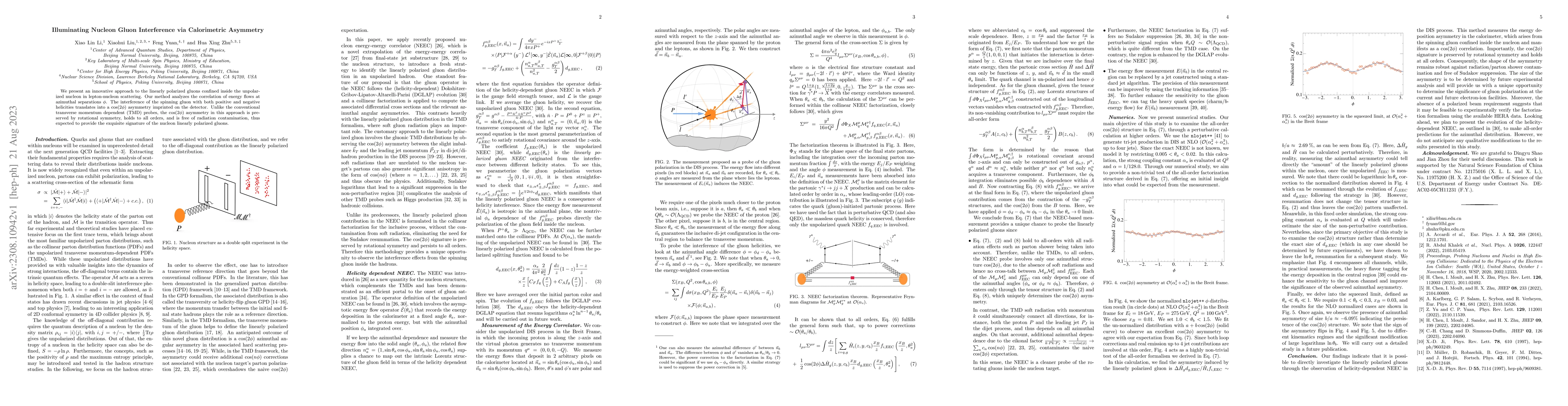 Thumbnail for Illuminating Nucleon Gluon Interference via Calorimetric Asymmetry