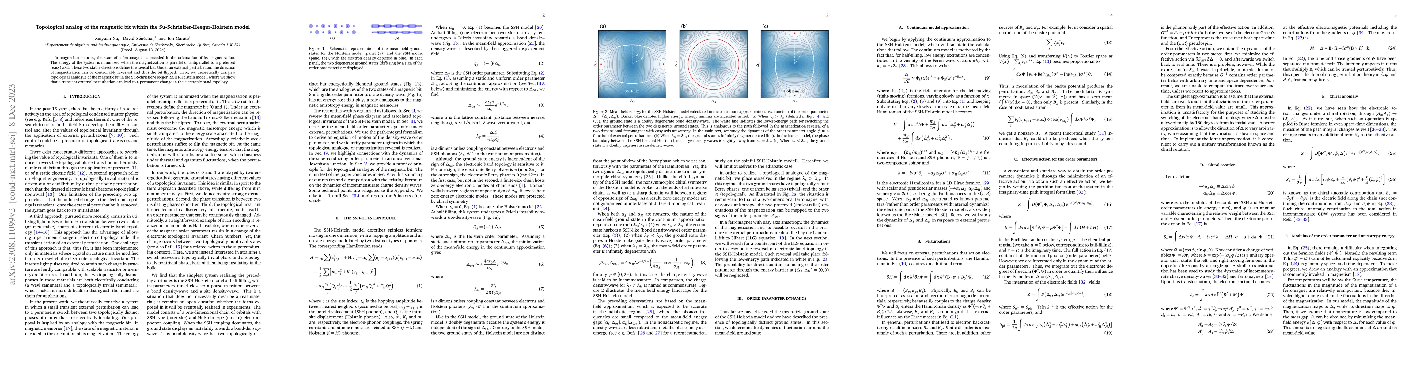 Thumbnail for Topological analog of the magnetic bit within the
  Su-Schrieffer-Heeger-Holstein model