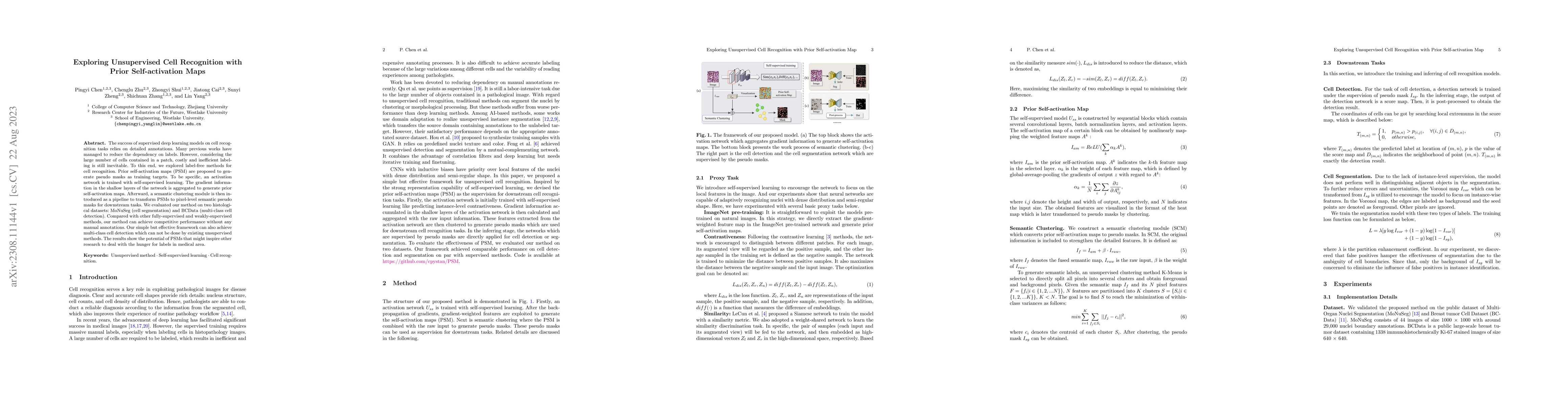 Thumbnail for Exploring Unsupervised Cell Recognition with Prior Self-activation Maps