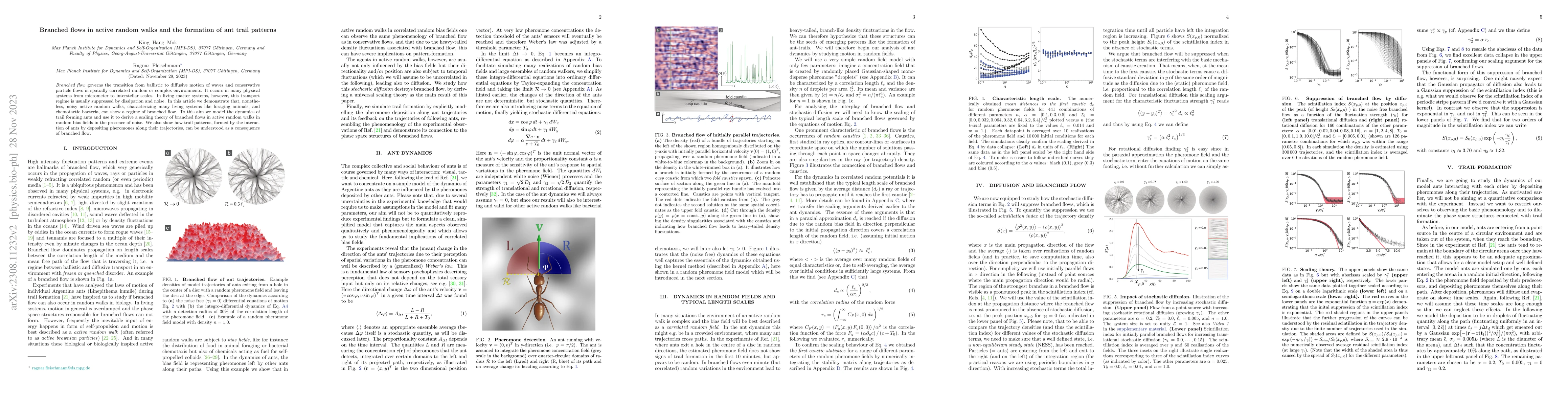Thumbnail for Branched flows in active random walks and the formation of ant trail
  patterns