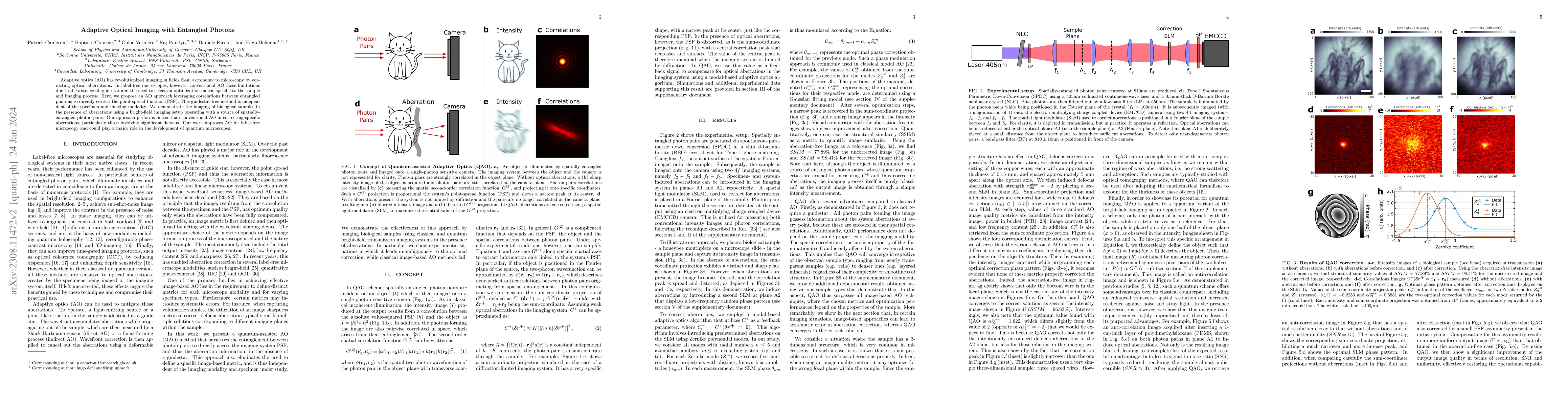 Thumbnail for Adaptive Optical Imaging with Entangled Photons