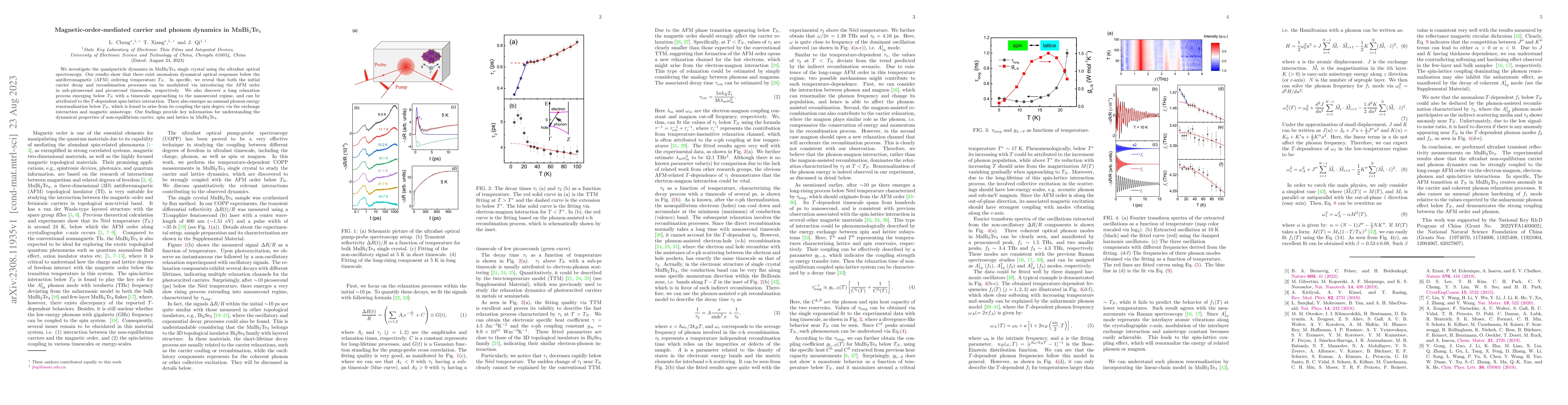 Thumbnail for Magnetic-order-mediated carrier and phonon dynamics in MnBi2Te4