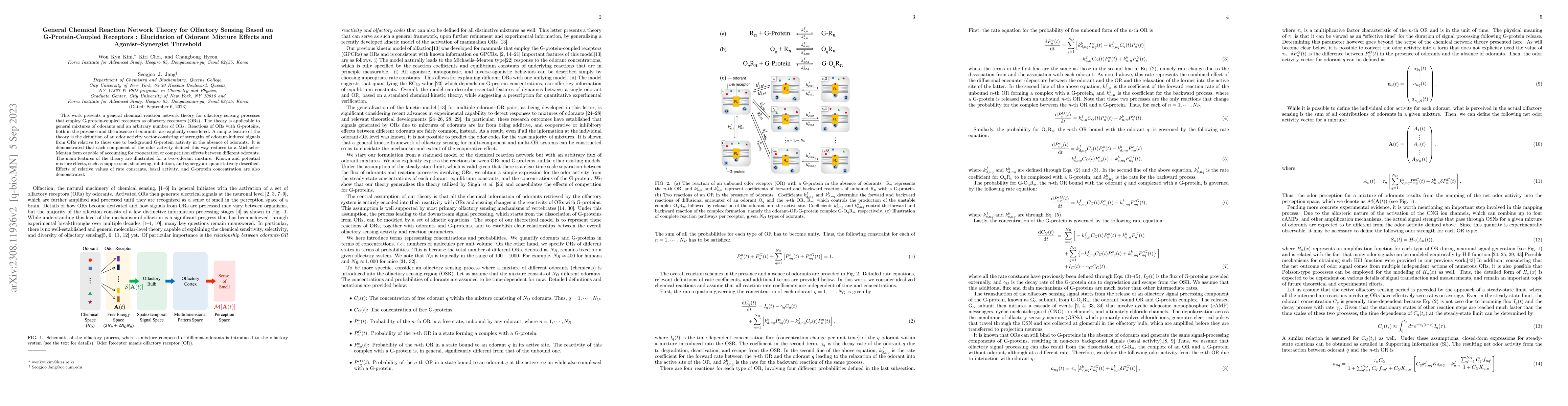 Thumbnail for General Chemical Reaction Network Theory for Olfactory Sensing Based on
  G-Protein-Coupled Receptors : Elucidation of Odorant Mixture Effects and
  Agonist-Synergist Threshold