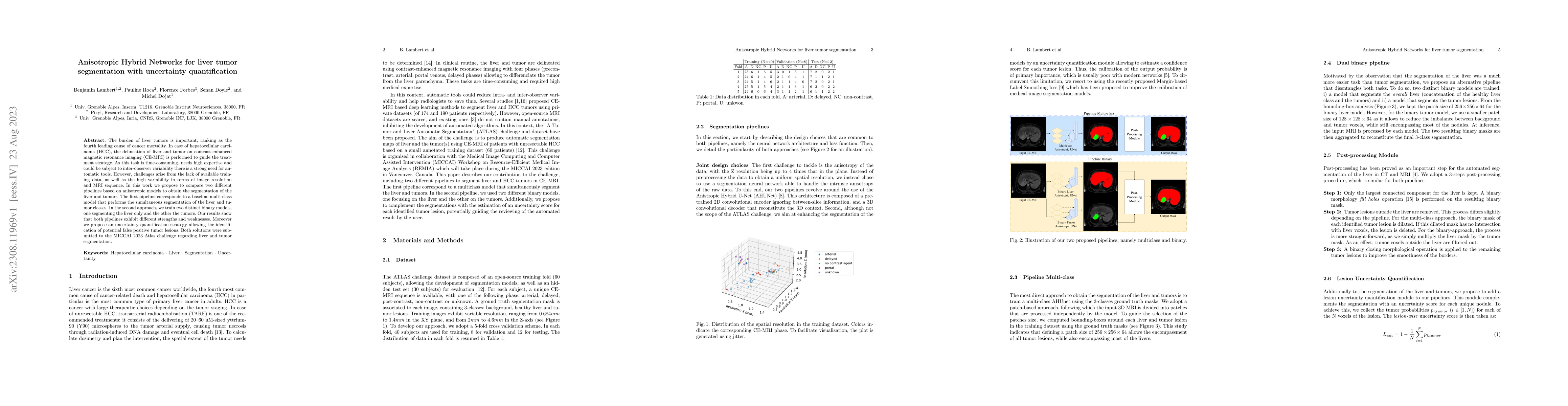 Thumbnail for Anisotropic Hybrid Networks for liver tumor segmentation with
  uncertainty quantification